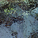 g1-689.jpg