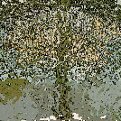 g1-715.jpg