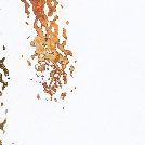 g2-691.jpg