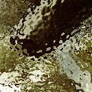 g1-786.jpg