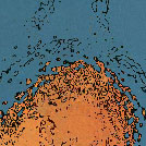 g3-776.jpg