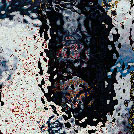 g3-795.jpg