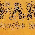 g6-806.jpg