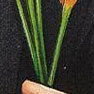 m1-792.jpg