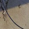 m2-788.jpg