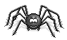 Blackspider :blackspider: